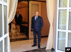 FILE - Russian President Vladimir Putin waits for arrival of Japan's prime minister at his Bocharov Ruchei residence in Sochi.
