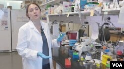 Olena Taratula di Laboratorium Taratula, Universitas Oregon.