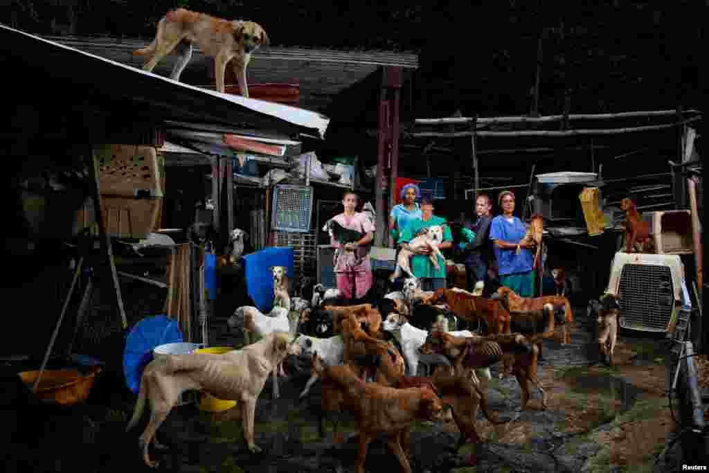 베네수엘라 로스테케스의 동물보호소 관계자들이 개들을 돌보고 있는 현장. 최근 유례없는 경제난으로 식량 위기가 심화되고 있는 베네수엘라에서는 유기견이 급증하고 있다.
