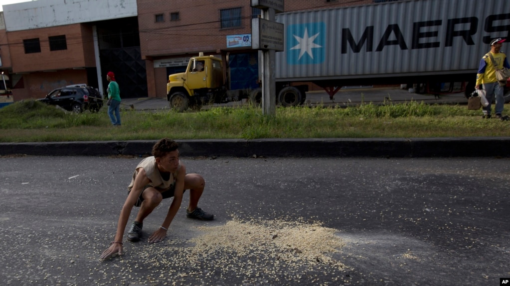 En esta foto de archivo, un joven recoge granos de maÃ­z en la calle que cayeron de un camiÃ³n saqueado en las afueras de Puerto Cabello, Venezuela. Enero 23 de 2018.