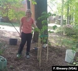 Anka Meyer of Hyattsville, Md., says trees make a huge difference in the climate and save energy.