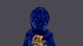 An undated handout image of virtual clothing piece 