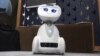 Social Robots May Soon Become the Newest Member of the Family