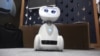 Druželjubivi roboti uskoro članovi porodica?