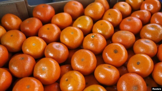 FILE - A box of tangerines is seen at a packaging warehouse of Hoja Redonda plantation in Chincha, Peru, Sept. 3, 2015. 