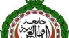 Arab League: Syria Observers Need More Time