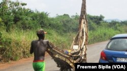 Un pousseur de bois de chauffe à la sortie Nord de Bangui 24 décembre 2017. (VOA/Freeman Sipila)