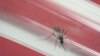 Indonesia Screens for Zika as Singapore Infections Mount