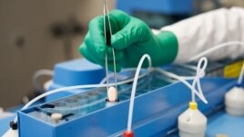 Paxlovid, a Pfizer's coronavirus disease (COVID-19) pill, is seen manufactured in Freiburg, Germany, in this undated handout photo obtained by Reuters on November 16, 2021. (Pfizer/Handout via REUTERS)