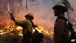 In this photo provided by the U.S. Forest Service, fire crew members stand watch near a controlled burn operation as they release a very pistol, as they fight the Rim Fire near Yosemite National Park in California, Sept. 2, 2013.