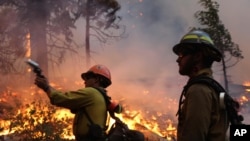 In this photo provided by the U.S. Forest Service, fire crew members stand watch near a controlled burn operation as they release a very pistol, as they fight the Rim Fire near Yosemite National Park in California, Sept. 2, 2013.