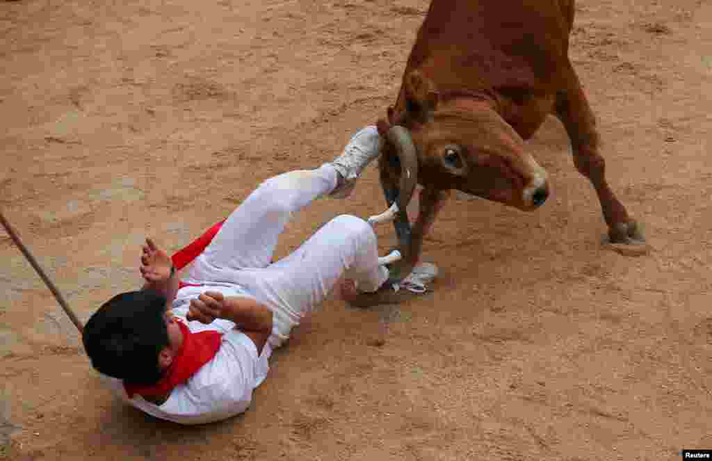 جدال تن به تن یک گاو وحشی با یکی از شرکت کنندگان در هفتمین روز از&nbsp;فستیوال گاوبازی سن فرمین در اسپانیا &nbsp;