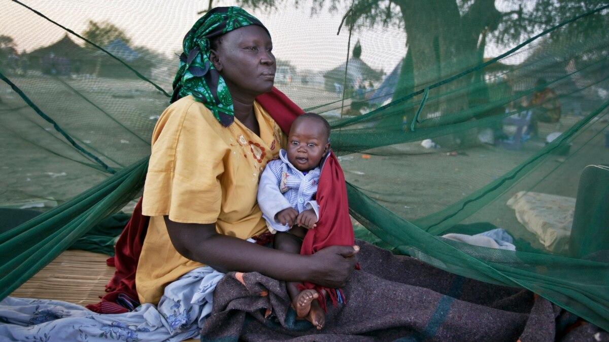 De Simples Moustiquaires Efficaces Pour Operer Les Hernies