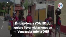 EE.UU. busca priorizar el tema de Venezuela ante el Consejo de Seguridad de la ONU