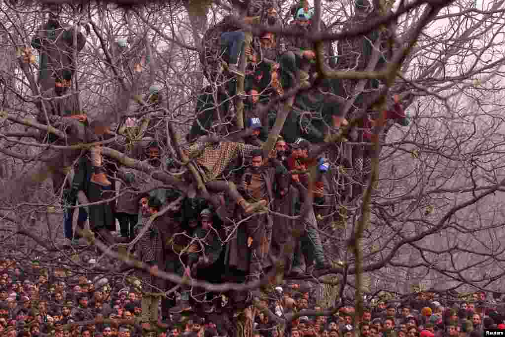 People wait in a tree to offer prayers for Mohd Waseem Wagay, a suspected militant, who according to local media was killed in a gun battle with Indian security forces, at Amshipora village in south Kashmir&#39;s Shopian district.