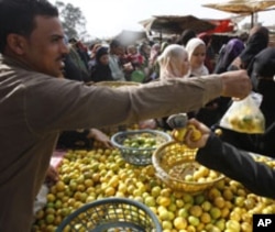 Egyptians shop at a vegetable market in Cairo on February 6, 2011.