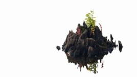 This image released by Venezuelan artist Irene Pressner shows a photography piece called 