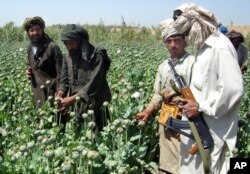FILE - A Taliban militant is seen with an AK- 47 as farmers collect resin from poppies in an opium poppy field in Naway district of Helmand province, Afghanistan, April 25, 2008.