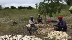 insurgentes capturam duas ilhas em Cabo Delgado