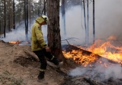A firefighter kicks at a log while helping to build a containment line at a fire near Bodalla, Australia, Sunday, Jan. 12, 2020