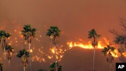 آتش سوزی های جنگلی در کالیفرنیا