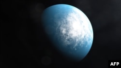 This handout image released on January 6, 2020 courtesy of NASA's Goddard Space Flight Center shows an artists' illustration of the planet TOI 700 d, the first Earth-size habitable-zone planet discovered by NASA's Transiting Exoplanet Survey Satellite (TESS). (Handout Photo/ NASA
