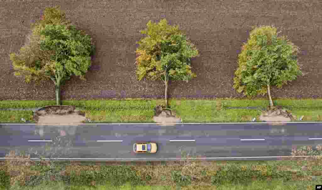 An aerial view shows three uprooted trees at a road near Hildesheim, Germany. Seven people died Thursday as high winds knocked over trees and caused widespread travel chaos in northern Germany.