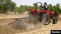 FILE - A farmer plows the field in Saulawa village, on the outskirts of Nigeria's north-central state of Kaduna.