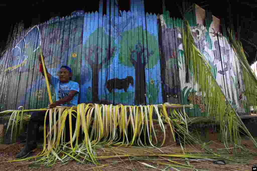 Seorang pria Indian Sarayaku membuat dekorasi dari pohon palem di desa Sarayaku di Ekuador. (AP Photo/Dolores Ochoa) 