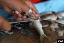 ស្ត្រី​កំពុង​ធ្វើ​ត្រី​ដែលនេសាទ​បាន​ពី​ទន្លេ​មេគង្គ​ ក្នុង​រាជធានី​ភ្នំពេញ នា​រសៀលថ្ងៃ​ទី​២២ ខែ​ឧសភា ឆ្នាំ​២០២១។​ (កាន់ វិច្ឆិកា/វីអូអេ)