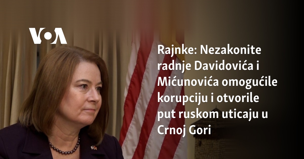 Rajnke: Nezakonite Radnje Davidovića I Mićunovića Omogućile Korupciju I ...