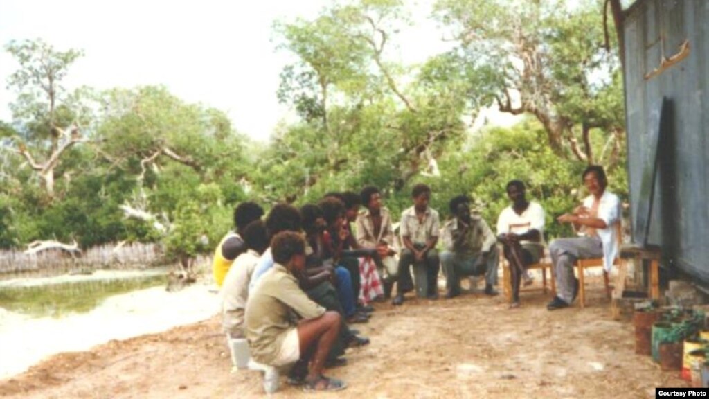 Mangrove Trees Fight Poverty in Eritrean Village 