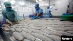 Công nhân Việt Nam chế biến hải sản ở Cần Thơ.
