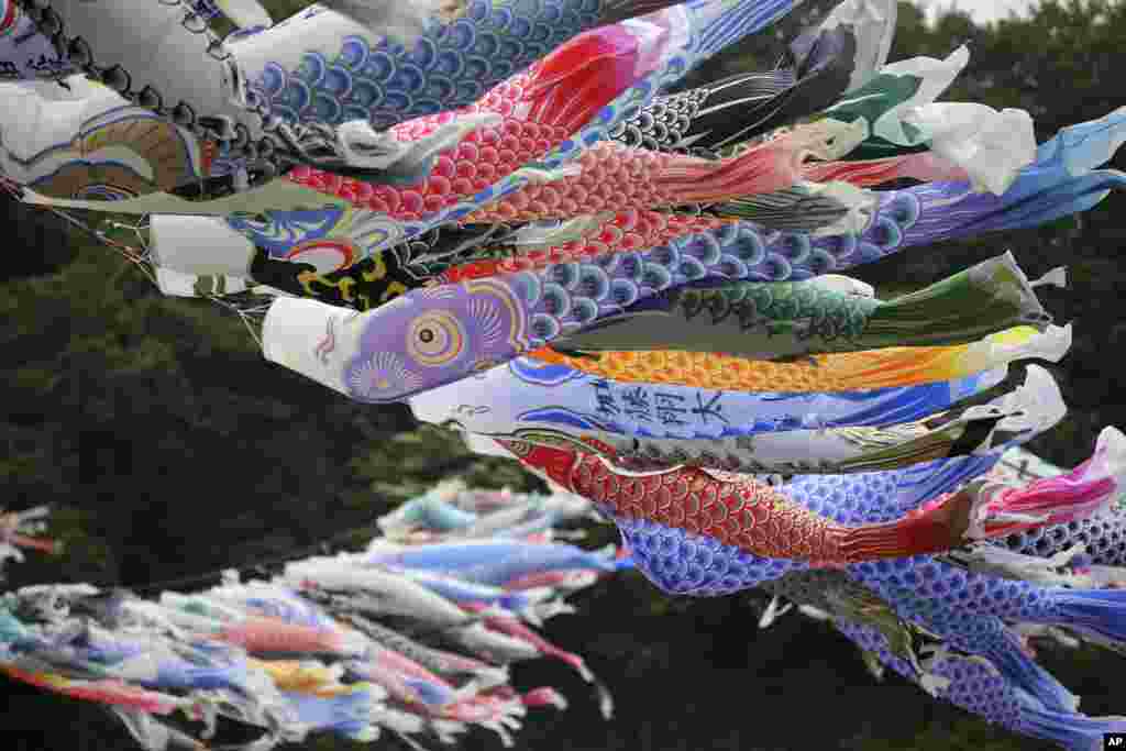 Cờ hình cá chép bay phất phới trong gió trên sông Sagami ở Sagamihara, phía tây thủ đô Tokyo, đánh dấu Ngày Trẻ em. Treo cờ cá chép là truyền thống trong ngày này ở Nhật Bản.