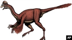 This illustration provided by the Smithsonian Institution shows the dinosaur Anzu wyliei. The birdlike animal lived in western North America around 66-68 million years ago.