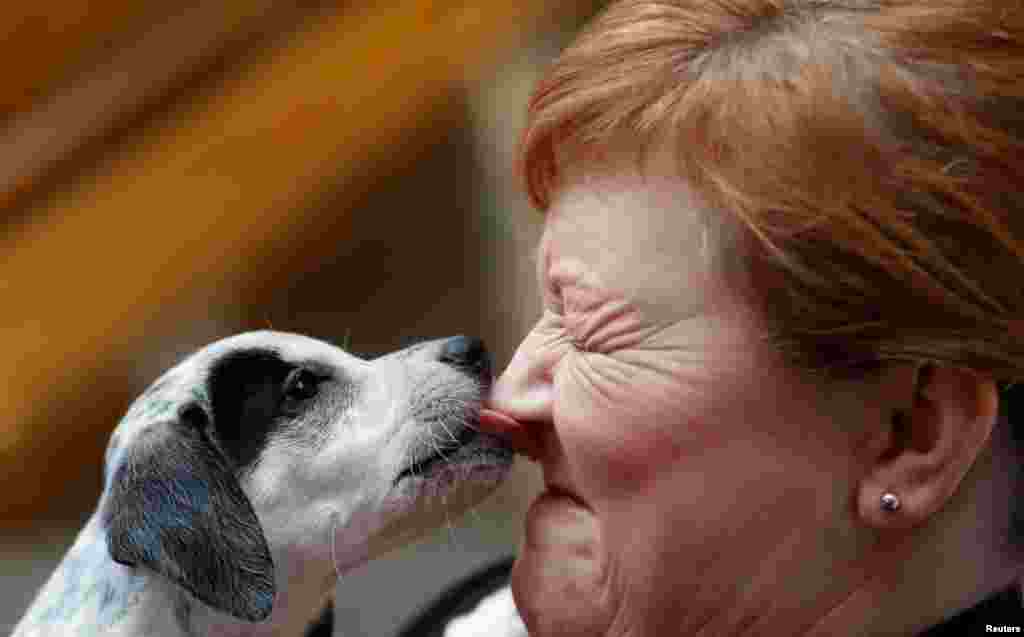 Emma Harper MSP raises awareness of the illegal puppy trade and responsible ownership at a photocall in the Scottish Parliament in Edinburgh, Scotland, Britain.