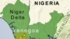 Nigeria Ex-Rebels Protest over Allowances