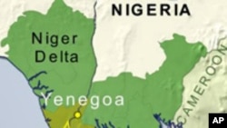 Nigeria Ex-Rebels Protest over Allowances