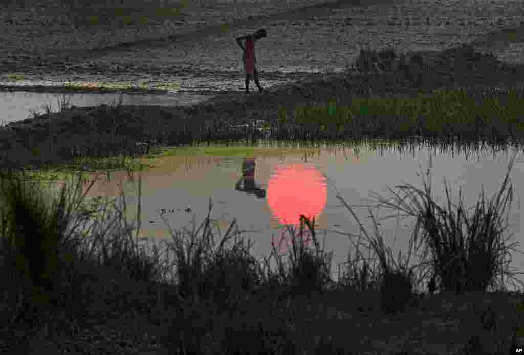 A farmer stands in his paddy field as the sun sets on the outskirts of Gauhati, India, Thursday, Nov. 5, 2020. (AP Photo/Anupam Nath)