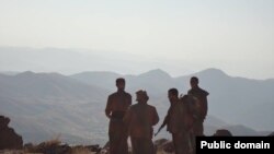 Komeke şervanên PKK