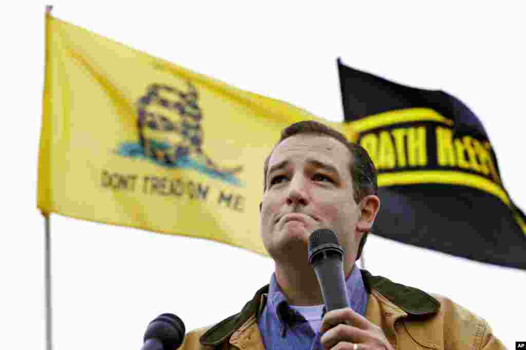 El senador republicano por Texas, Ted Cruz, habla durante la protesta frente al Monumento en honor a los combatientes de la Segunda Guerra Mundial en Washington.