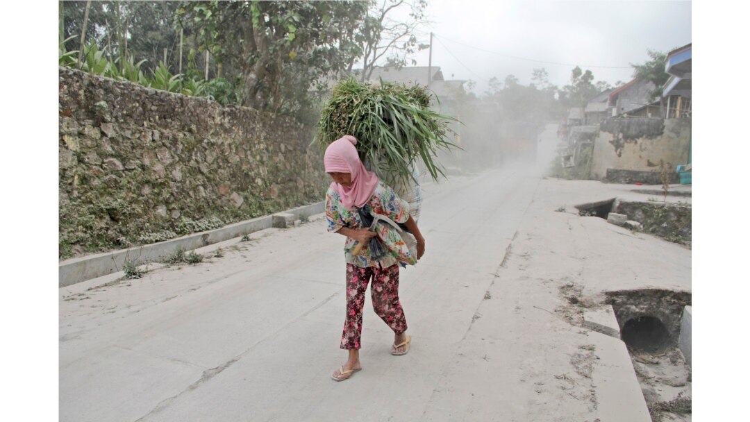 Seorang perempuan membawa rumput untuk memberi makan ternaknya di tengah hujan abu vulkanik dari letusan Gunung Merapi di Dukun, Jawa Tengah, Senin, 16 Agustus 2021. (AP)