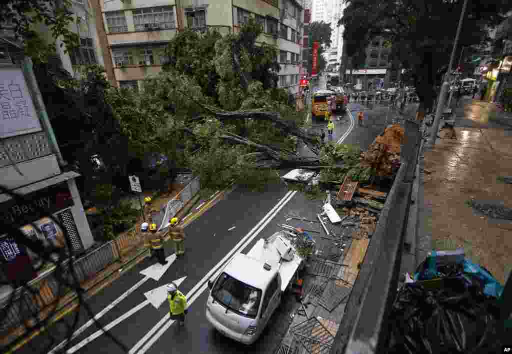 Firemen look at a tree that fell after the Hong Kong Observatory issued an Amber Rainstorm warning in Hong Kong, Wednesday, July 22, 2015.