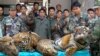 Kelompok Konservasi: Laos Janji Mulai Hapus Peternakan Harimau