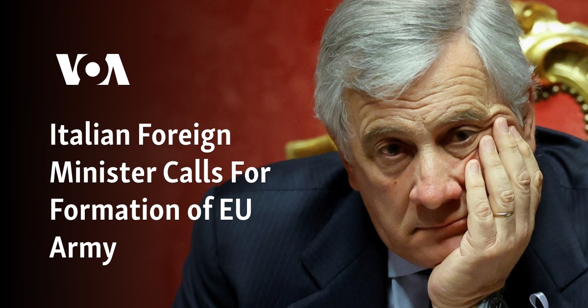 Italian Foreign Minister Calls For Formation of EU Army