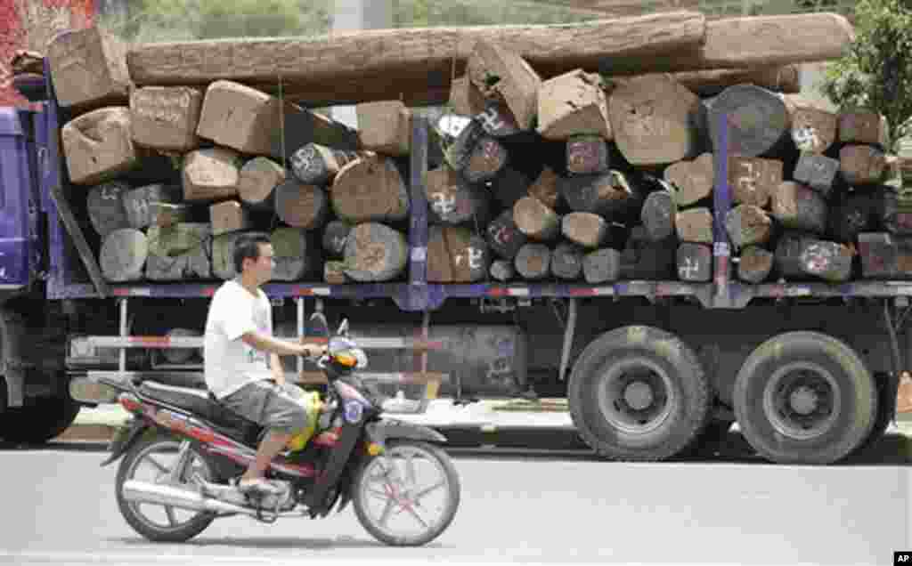 China Myanmar Logging