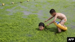 FILE - June 29, 2014 photo shows children playing with algae on a beach in Qingdao, east China's Shandong province.