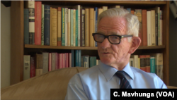 John Robertson, an independent economist, says all parastatals, organizations that serve the state, should be privatized if they are to run efficiently and provide services to Zimbabwe’s economy, Nov. 19, 2018, in Harare.