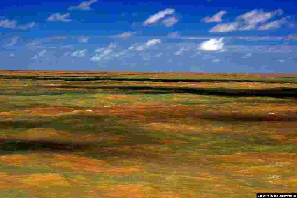 Above the Brazil Reef where the Amazon River meets the Atlantic Ocean. 2012 (Credit Lance Willis)