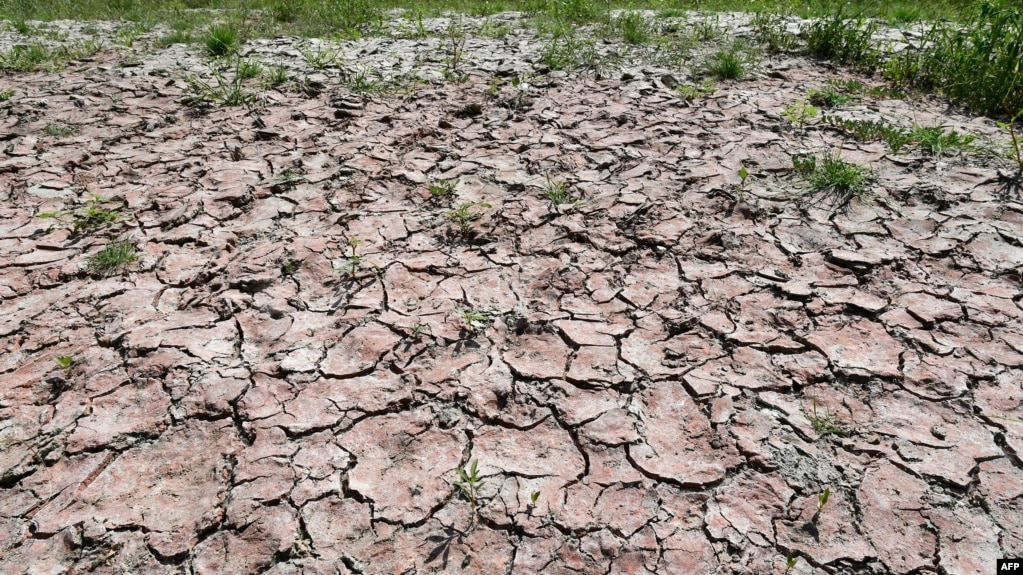 Photo show the dried-up bed of the river "Po," due to exceptional drought while Italy is affected by a heat wave, June 23, 2017, near Piacenza northern Italy. 